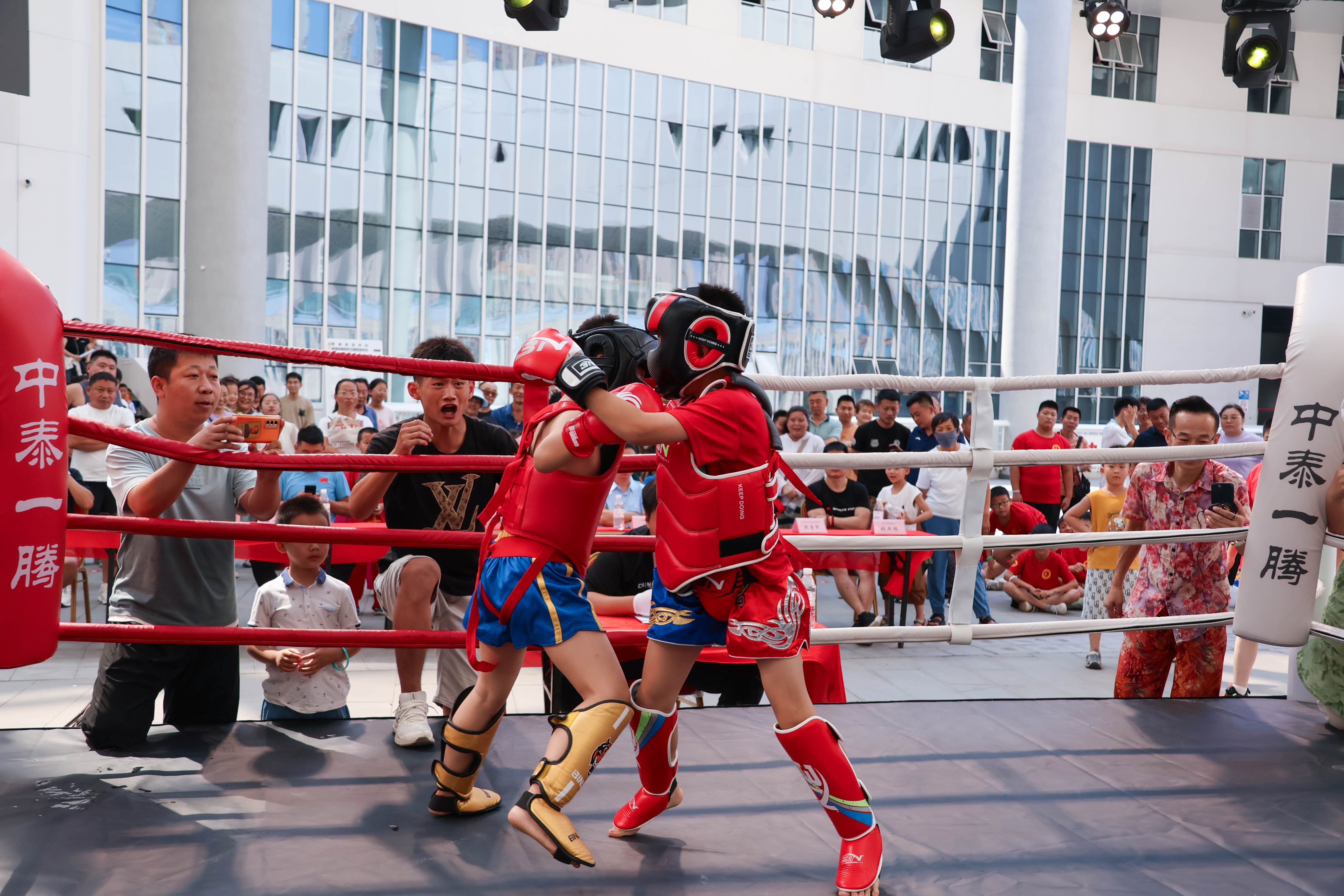 -自由搏击联赛：拳拳到肉的激烈较量的简单介绍