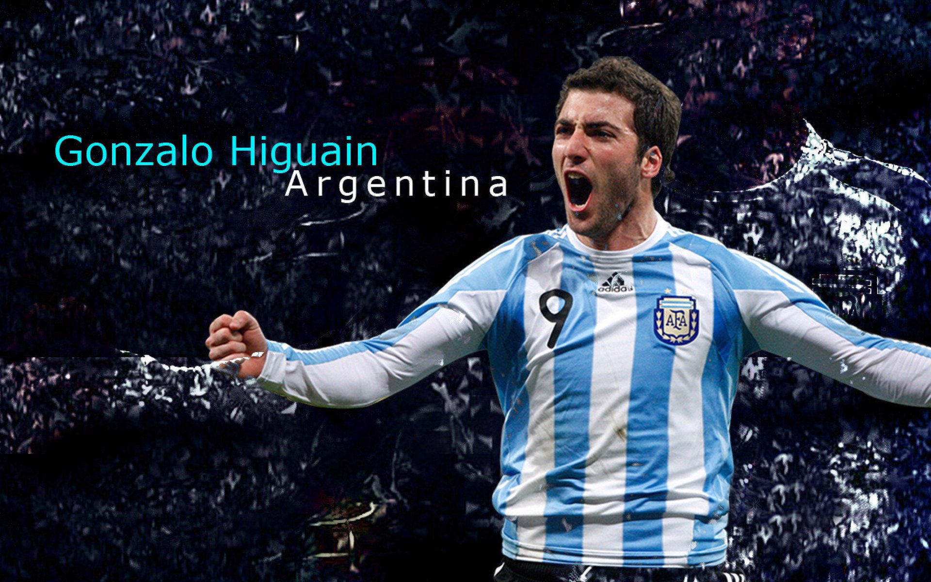 九游娱乐(jiuyou)官方网站-F1新规则引发车队技术革命，f1车辆规则