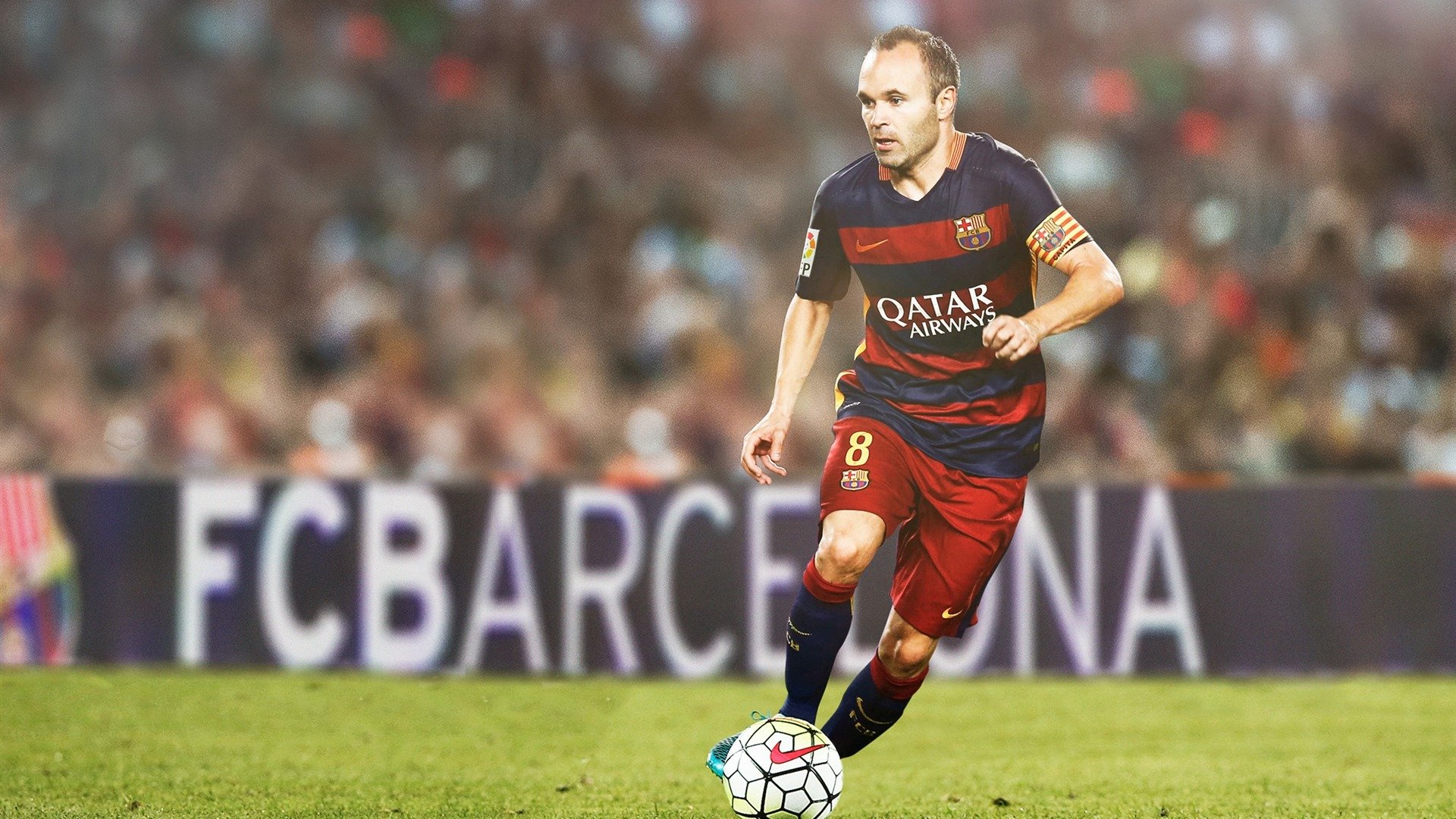 国王主场座椅调整为舒适型提升观赛体验，国王的座位